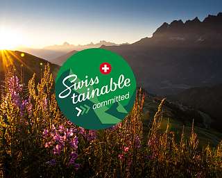 Swisstainability