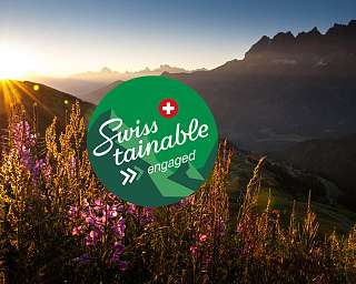 Swisstainability